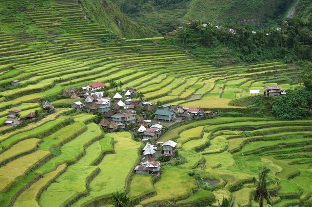 Rice terrace fields Luzon Philippines Flickr Jayreel Bacurayo