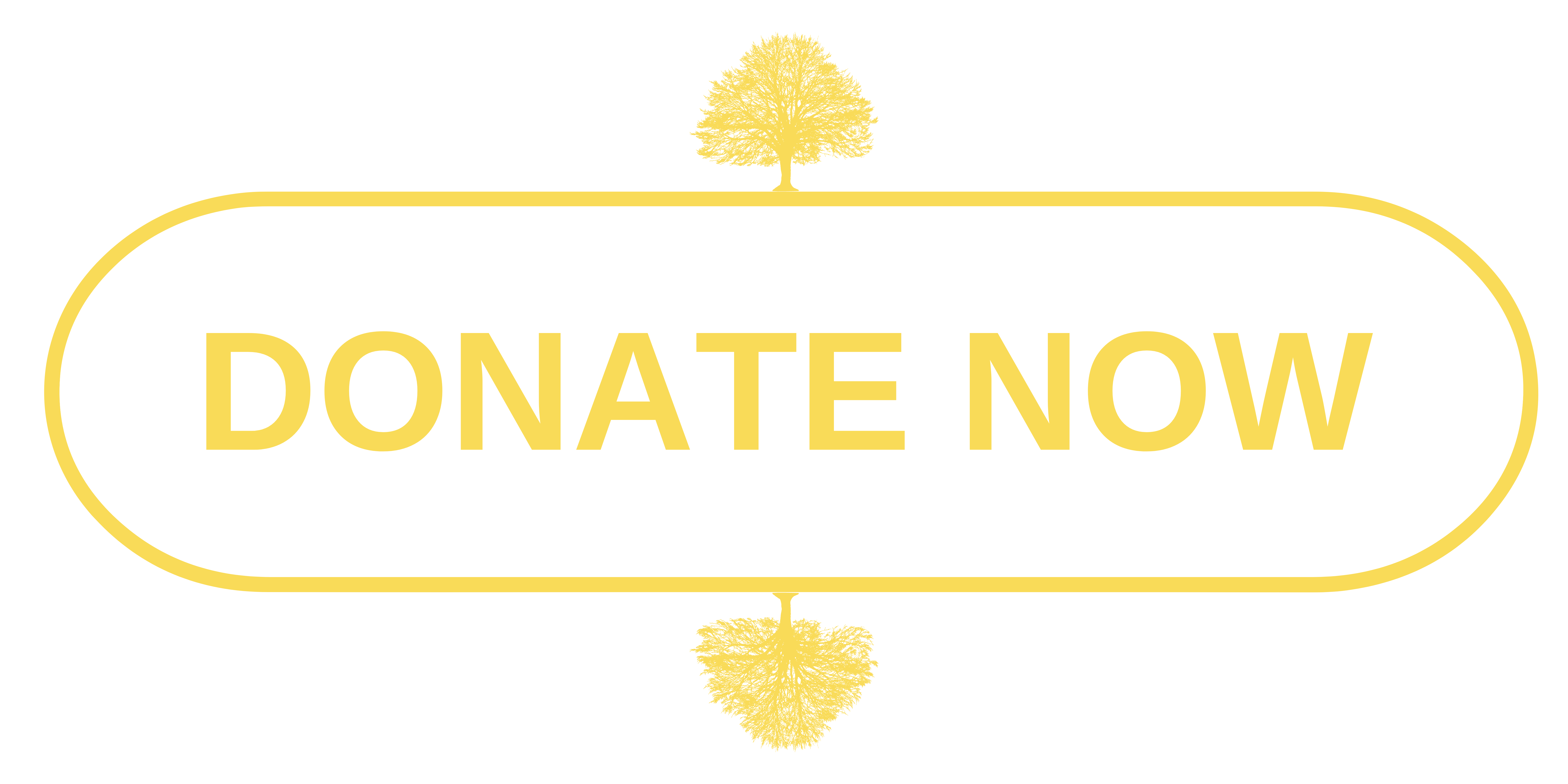 DONATE NOW BUTTON