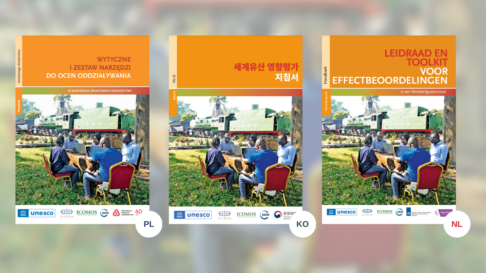 Guidance and Toolkit Impact Assessment WH Context