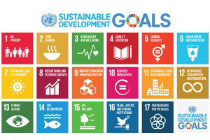 SDG-Poster.png